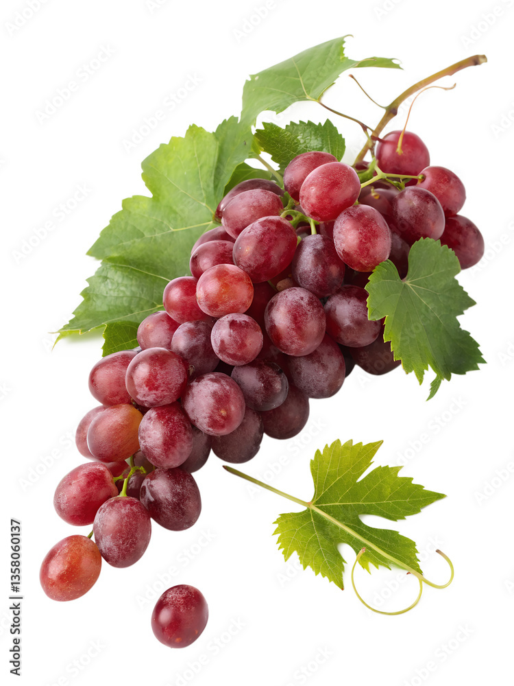 Fototapeta premium bunch of re grapes on transparent background