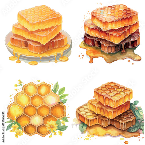 Vector honeycombs, honeycombs, vector images of honeycombs. Honey, sweet