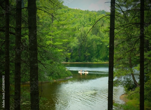 boat on the river in the woods in summer