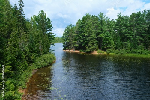 river in the forest