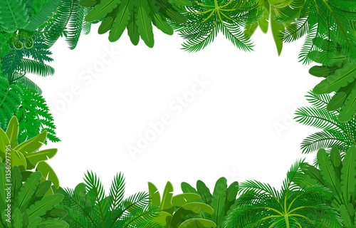 Jungle forest frame of tropical palm leaves and green plants, vector background. Frame of tropical rainforest banana or date palms and monstera or fern leaf tendrils and branches with blank background