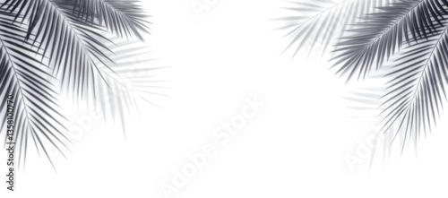 Palm leaf shadow on the corner of transparent banner background. Palm tree branch overlay effect. Shadow of tropical plant leaves. Spring summer design elements 