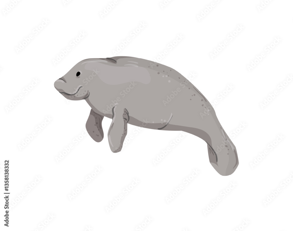 Fototapeta premium Vector illustration of a gray manatee.