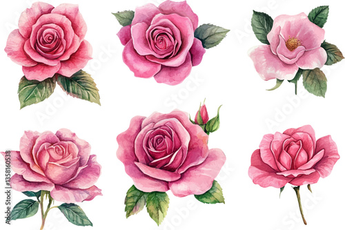 seamless pattern with roses