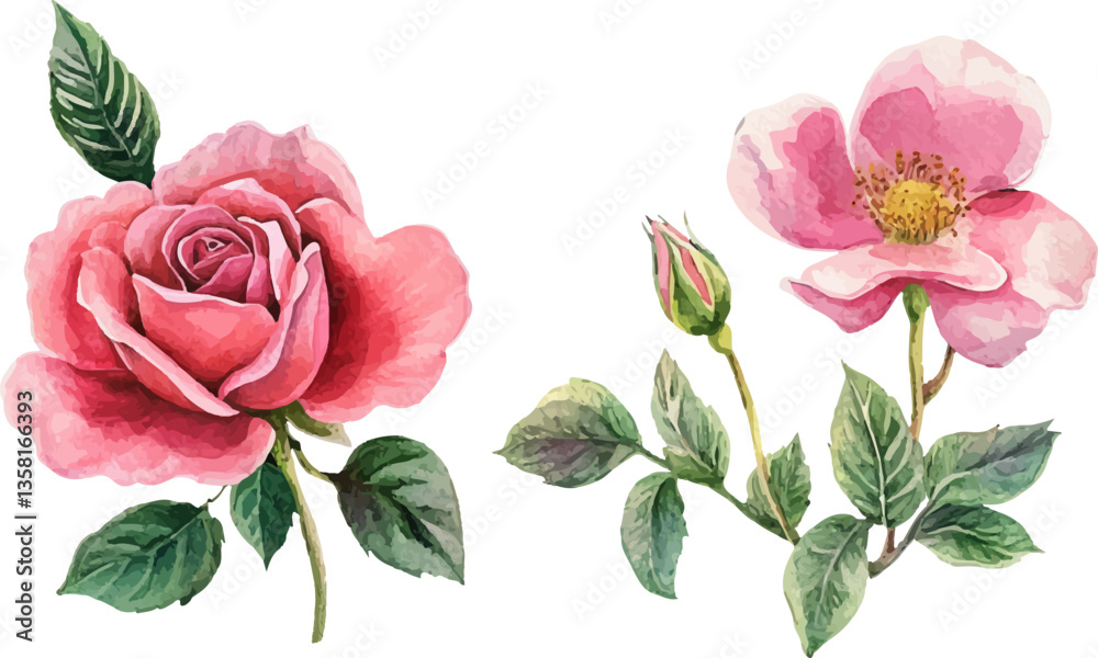 Fototapeta premium bouquet of pink roses