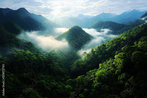 Majestic Mountaintop Rainforest: A Breathtaking Panorama of Lush Greenery and Misty Peaks