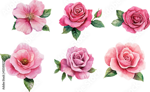 Set of colorful flowers in watecolor style	
