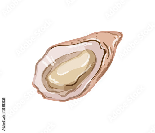 Vector illustration of an oyster shell.