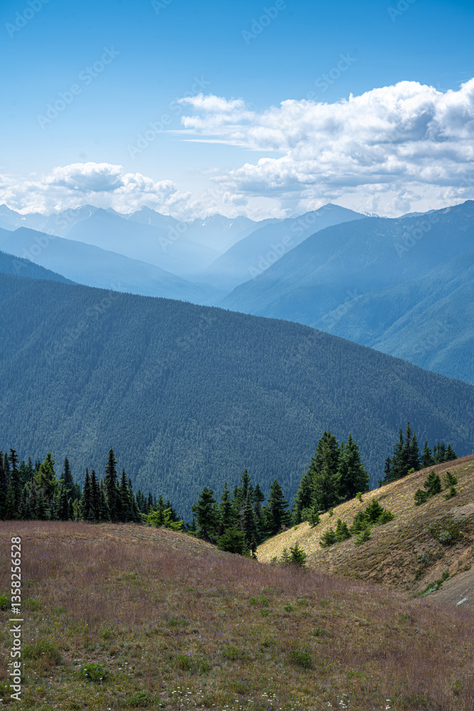 View from the Hurricane Ridge in Olympic National Park, WA