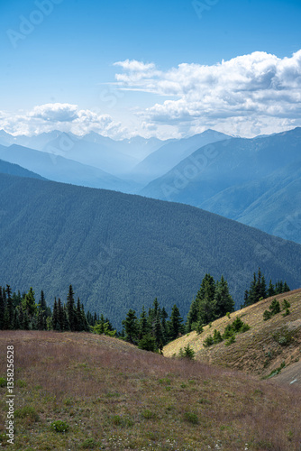 Obraz na płótnie View from the Hurricane Ridge in Olympic National Park, WA w salonie