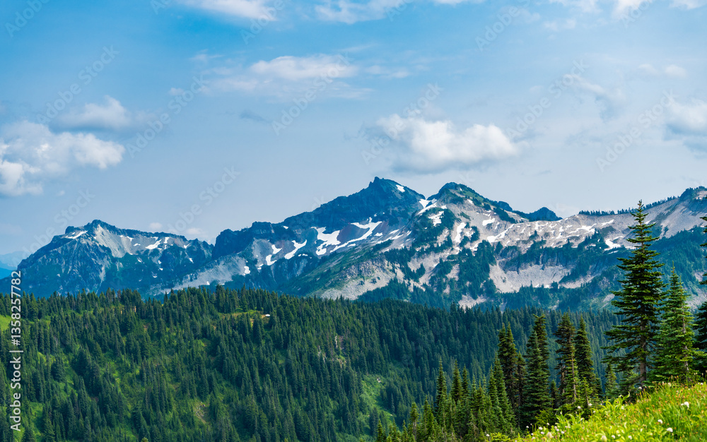 Pine tree and mountain landscape with forest. Forest nature with mount. Green valley landscape. Nature in mountain countryside. Landscape of countryside valley. Mountain valley. Wild area Pine tree and mountain landscape with forest. Forest nature with mount. Green valley landscape. Nature in mountain countryside. Landscape of countryside valley. Mountain valley. Wild area