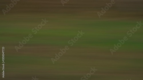 Sweeping Motion Warping Trees And Ground Into Abstract Blur