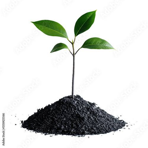 Plant Fertilizer PNG Transparent background