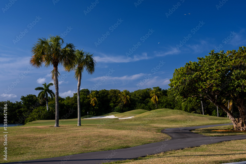 Obraz premium golf course with palm trees