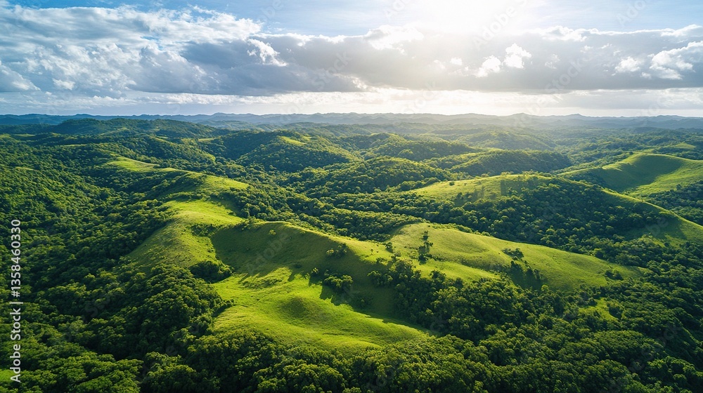 Fototapeta premium High Angle Aerial Shot of Lush Green Landscape Under Bright Sky