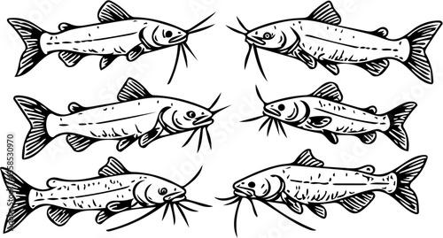 set of catfish
