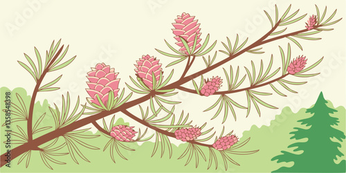 Larch tree fresh pink cones blossom at spring on nature background. Branches with young needles European larch Larix decidua with pink flowers.
