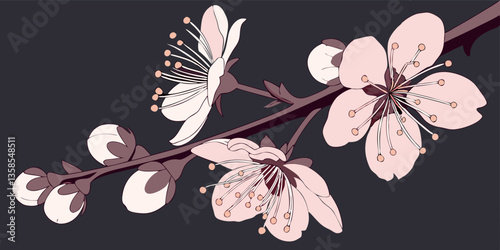 Larch flower with black background.