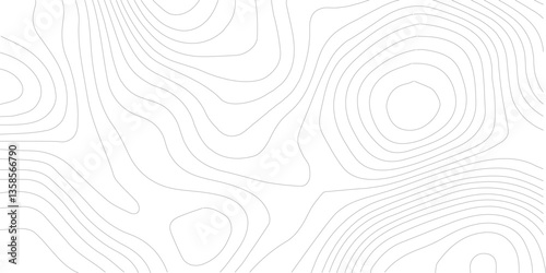 Topography background. Vector banner. Topography map background. Vector geographic contour map. Background of the topographic map. Topographic map lines, contour background. 