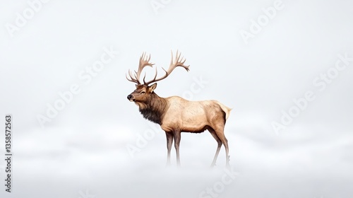 A majestic bull elk stands gracefully in a misty mountain meadow showcasing its impressive antlers against a soft white background creating a serene winter wildlife scene.