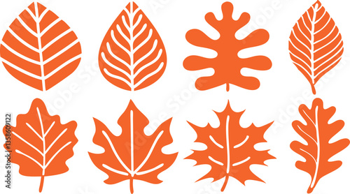 Autumn Leaves Vector Set - Fall Foliage Illustrations
