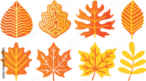 Autumn Leaves Vector Set - Fall Foliage Illustrations