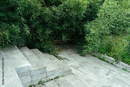 Obraz na płótnie stairs in backyard with golden bamboo or Phyllostachys aurea w salonie