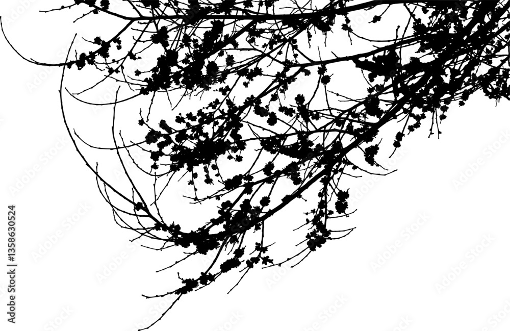 Obraz premium Vector illustration of a young spring tree branch