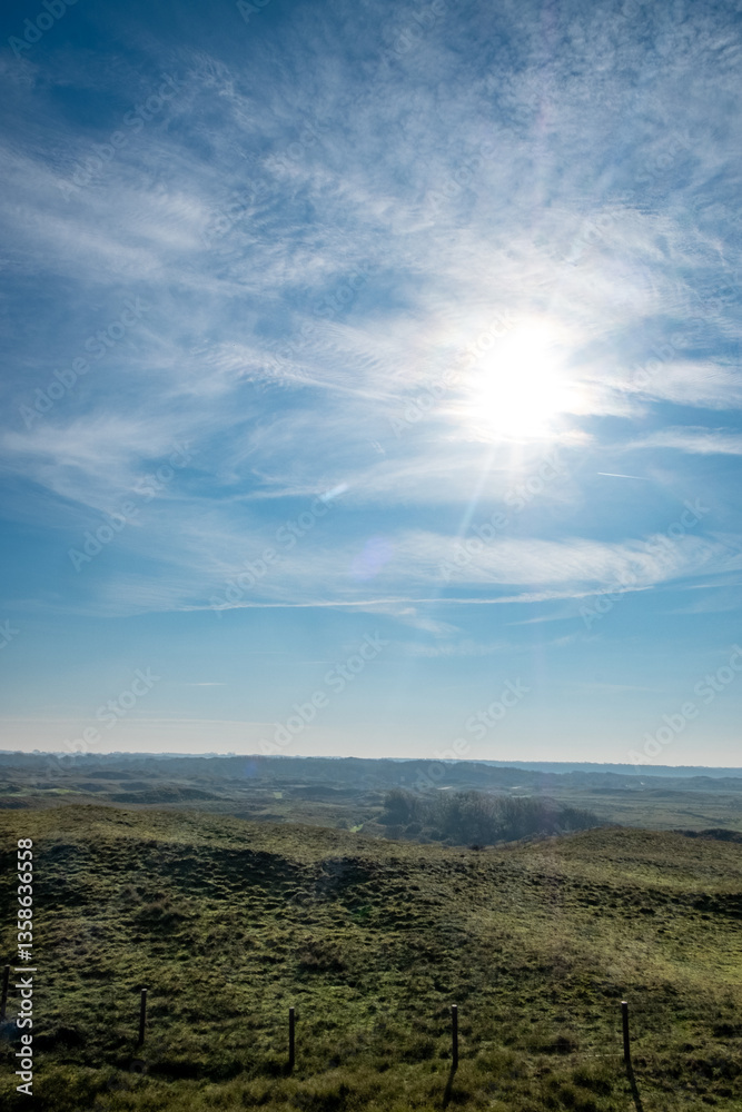 Obraz premium Eierland, De Cocksdorp, Texel, The Netherlands, Oktober 28th, 2024, A truly stunning and breathtaking view of a lush green landscape illuminated by the bright sun in a clear, blue sky