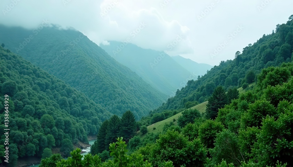 Lush green forests and mist-covered mountains in Georgia after a rainy day, destination, Georgia Lush green forests and mist-covered mountains in Georgia after a rainy day, destination, Georgia