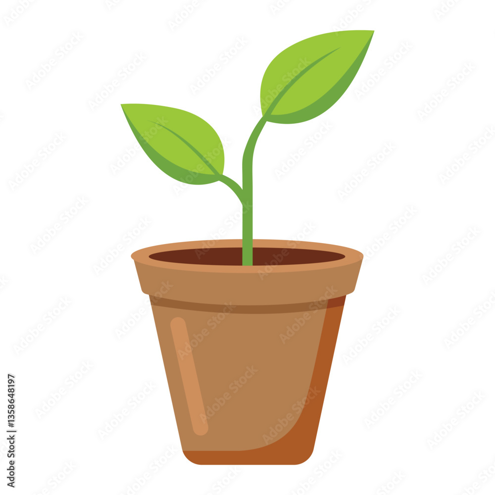 Young Sprout in a Small Pot Isolated on White Young Sprout in a Small Pot Isolated on White