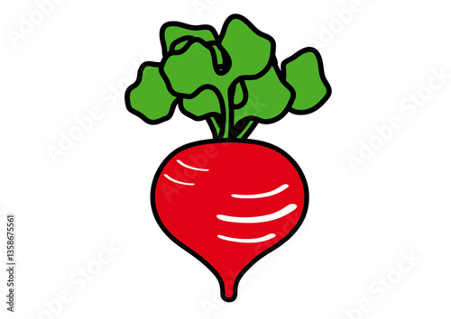 シンプルでかわいいラディッシュ　冬野菜のイラスト素材