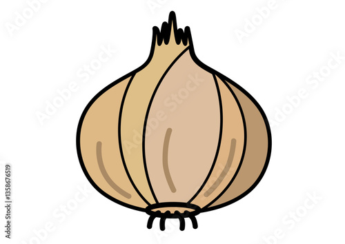 シンプルな夏野菜　玉ねぎのイラスト