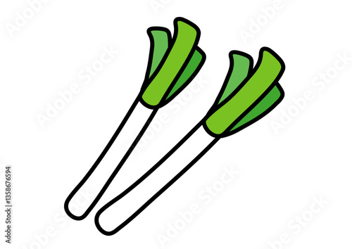 シンプルな冬野菜　長ネギのイラスト