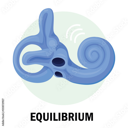 An illustration of a stylized human organ responsible for balance, illustrating how equilibrium and stability are maintained in the body.