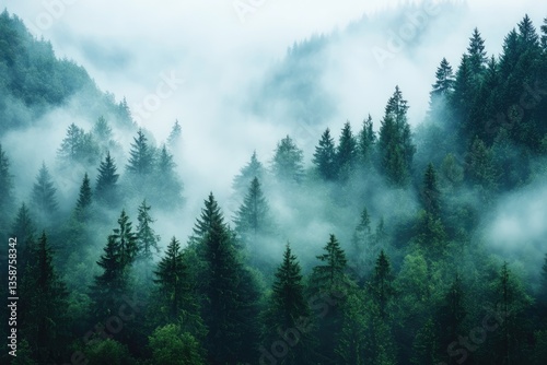 Misty mountain forest scene.  Dense evergreen trees shrouded in a thick layer of fog, creating a mystical atmosphere.  Vast expanse of forest, with soft light and muted colors