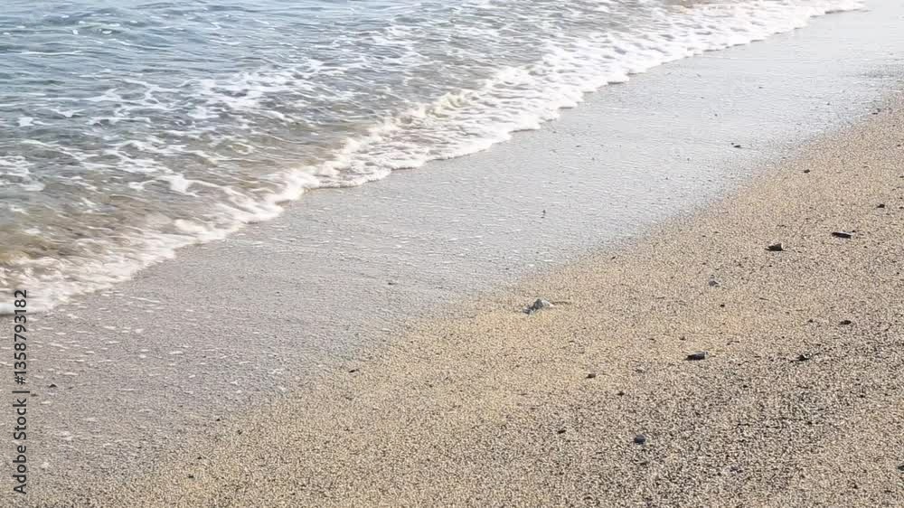 奄美大島の春、早朝の浜辺べの風景。 奄美大島の春、早朝の浜辺べの風景。