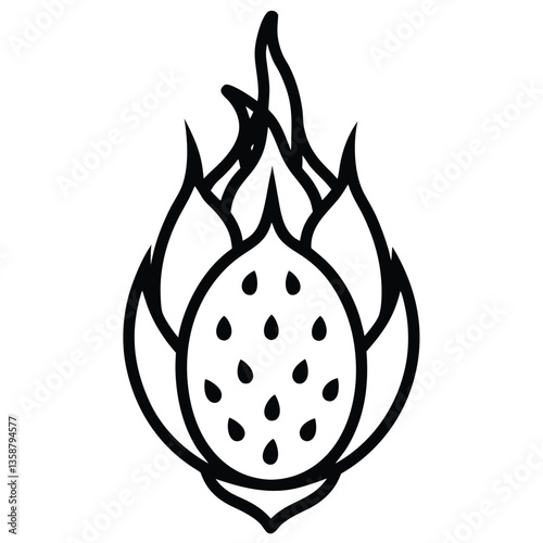 vector illustration of a dragon fruit