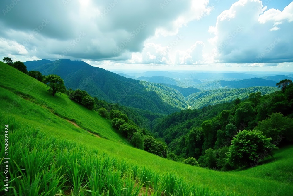 Obraz premium Vibrant green landscape of Honduras with lush forests and rolling hills, foliage, hills