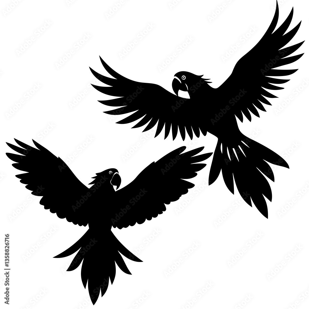 Fototapeta premium Flying Eagle Vector Illustration with Wings in Black Silhouette