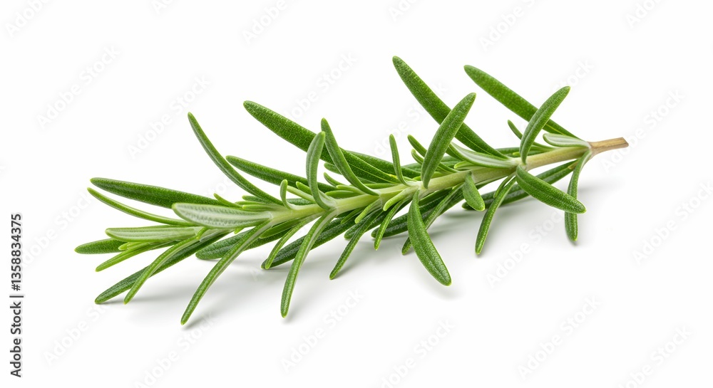 Fototapeta premium Rosemary: The Aromatic Herb Enhancing Flavor and Health