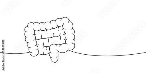 Intestines one line continuous drawing. Human internal organ continuous one line illustration.