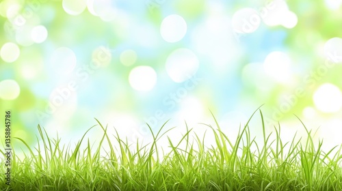 Closeup of lush green grass in a blurred garden background nature scene tranquil environment