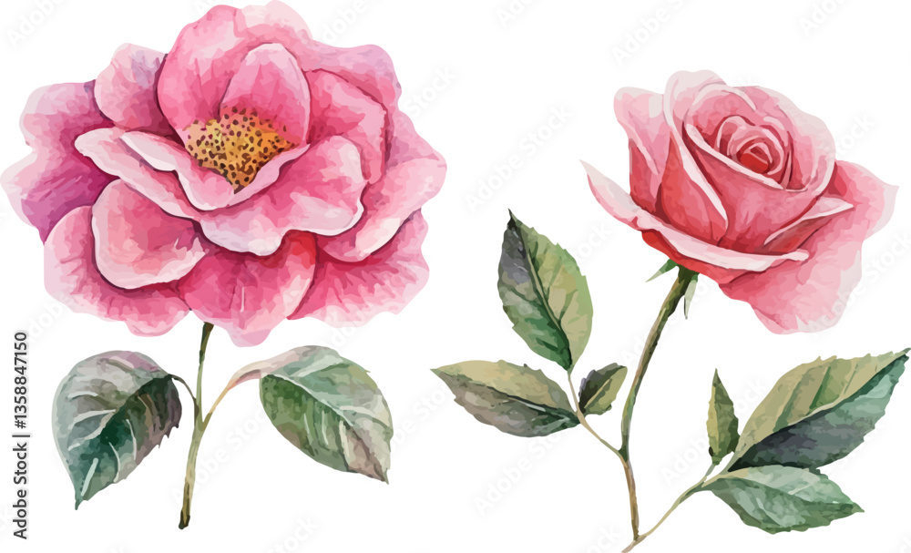 Fototapeta premium set of pink flowers