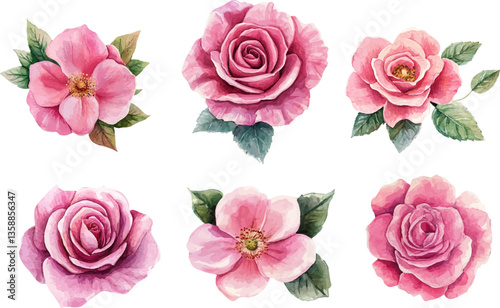 Beautiful bunch flowers set watercolor design	
