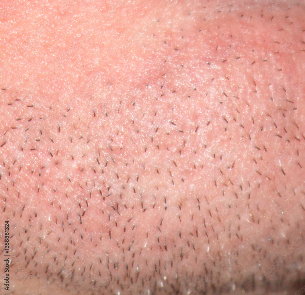 Φωτογραφία A close up of a man's face with a lot of hair