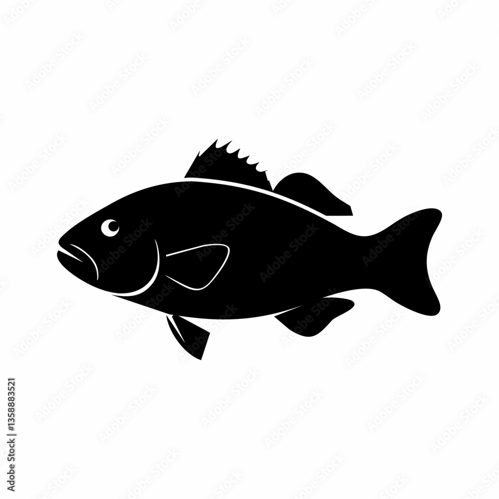 Grouper fish silhouette on white background Grouper fish silhouette on white background