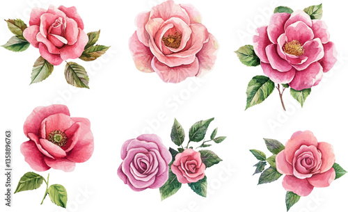 Watercolor floral illustration	
