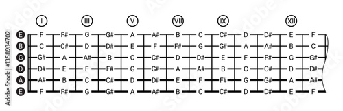 Detailed illustration of guitar fretboard with notes for all strings and positions. Useful for music education, learning chords, scales and songwriting.