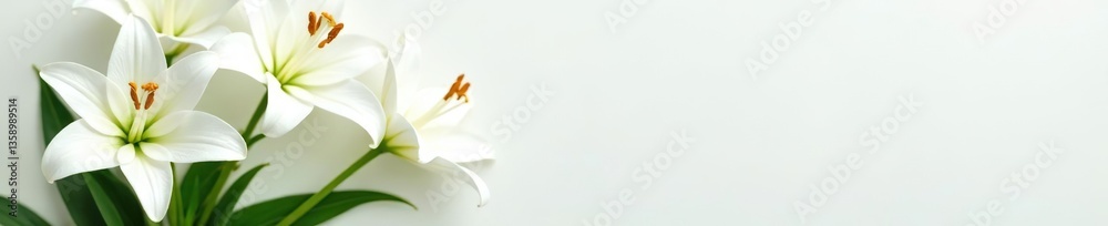 Obraz premium White Lily flower bouquet in a pristine arrangement, perfect for designs requiring a touch of elegance and sophistication, beautiful, white lily